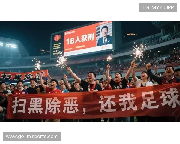 中国足球反腐高压态势下投资人信心恢复机制，中国足协反赌扫黑