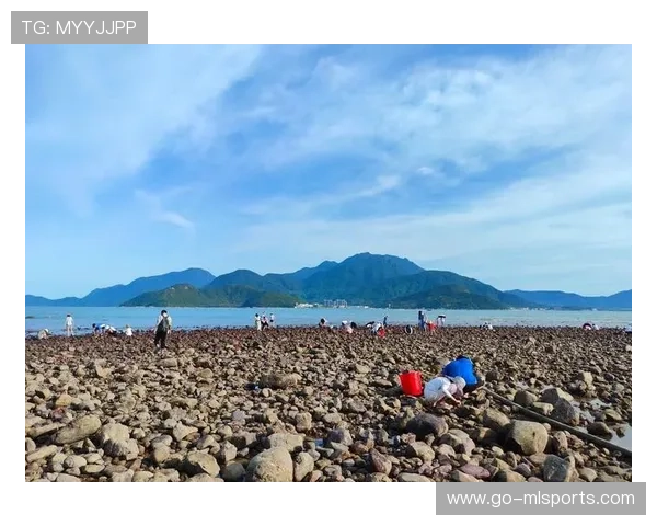 惠州赶海文化再现，台风后海鲜丰富，惠州赶海时间